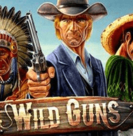 Wild Guns Nuggets
