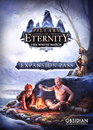Pillars of Eternity Expansion Pass PC Key